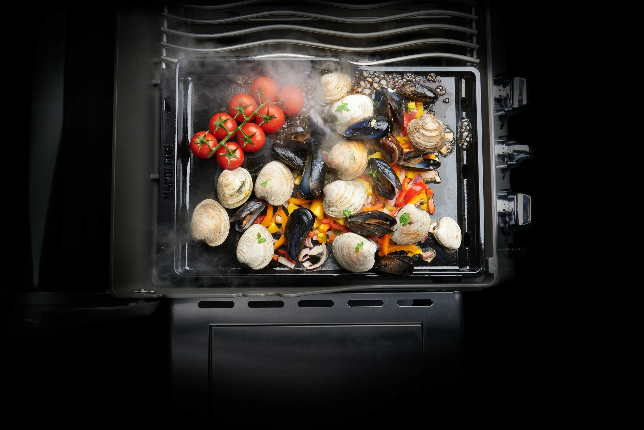 Napoleon Plancha 2 Napoleon Plancha - Afbeelding 2