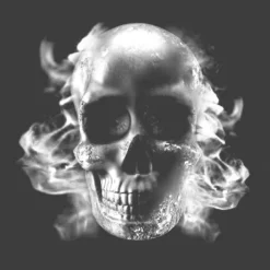 Skulls Doodskop Briketten 3 Stuks