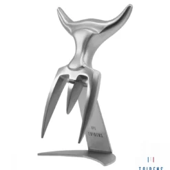 Tridens Brushed Fork In Stainless Steel Holder